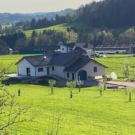 Charmant Gite, Au Calme, Avec Vue Imprenable Sur La Nature Environnante Deycimont Exterior photo