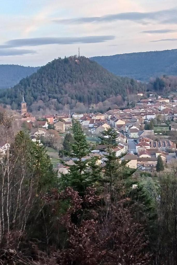 Charmant Gite, Au Calme, Avec Vue Imprenable Sur La Nature Environnante Deycimont Exterior photo