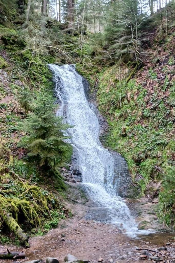 Charmant Gite, Au Calme, Avec Vue Imprenable Sur La Nature Environnante Deycimont Exterior photo