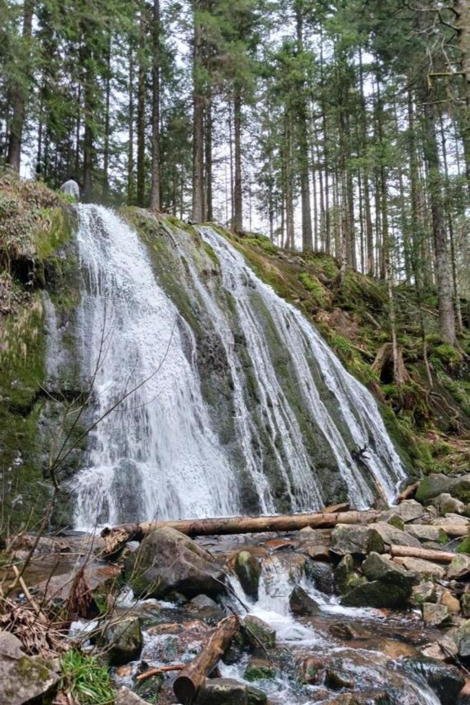 Charmant Gite, Au Calme, Avec Vue Imprenable Sur La Nature Environnante Deycimont Exterior photo