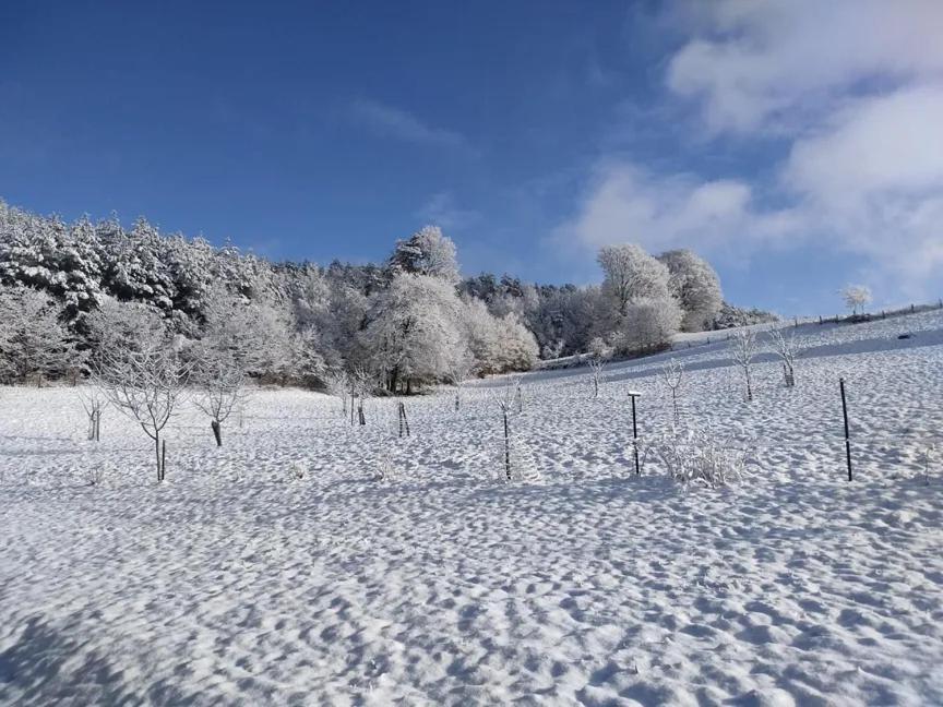 Charmant Gite, Au Calme, Avec Vue Imprenable Sur La Nature Environnante Deycimont Exterior photo